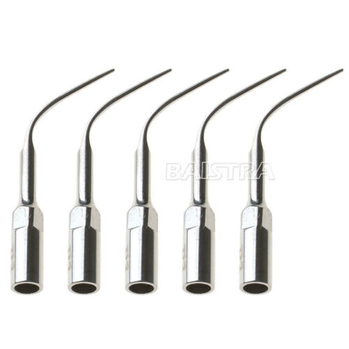 5 X Dental Ultrasonic Scaler Perio Scaling Tip P3 For Ems/woodpecker Handpiece