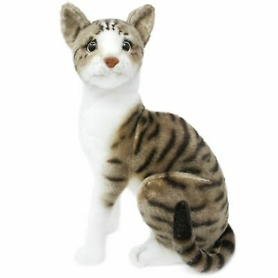 Amy The American Shorthair Cat | 14 Inch Stuffed Animal Plush Cat